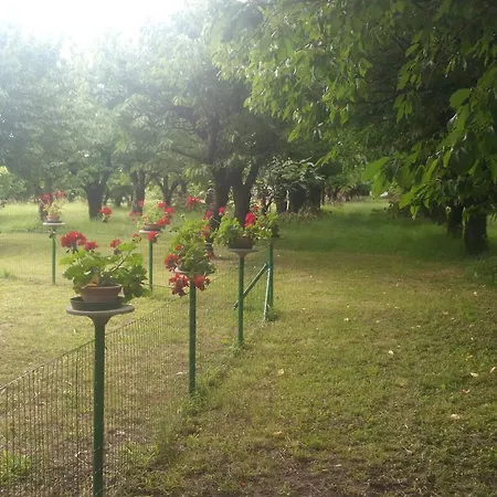 Camping Terrebio
